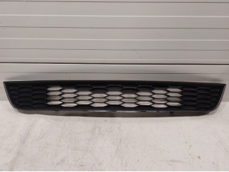 Lower Grille